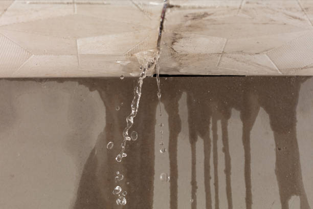 Professional Structural Drying technician working in Southampton, NY